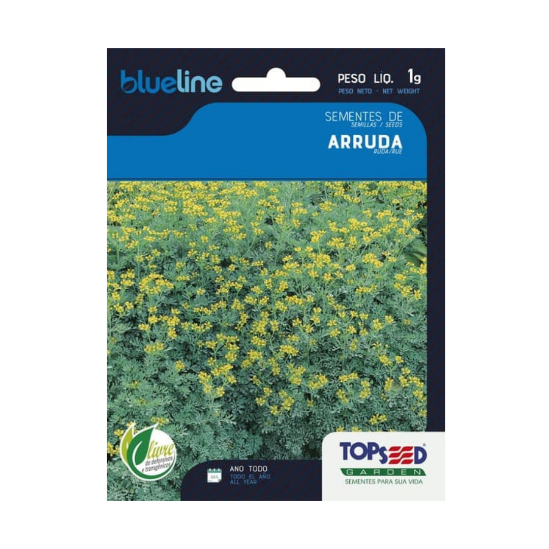 Semente De Arruda Blue Line 1g | Topseed