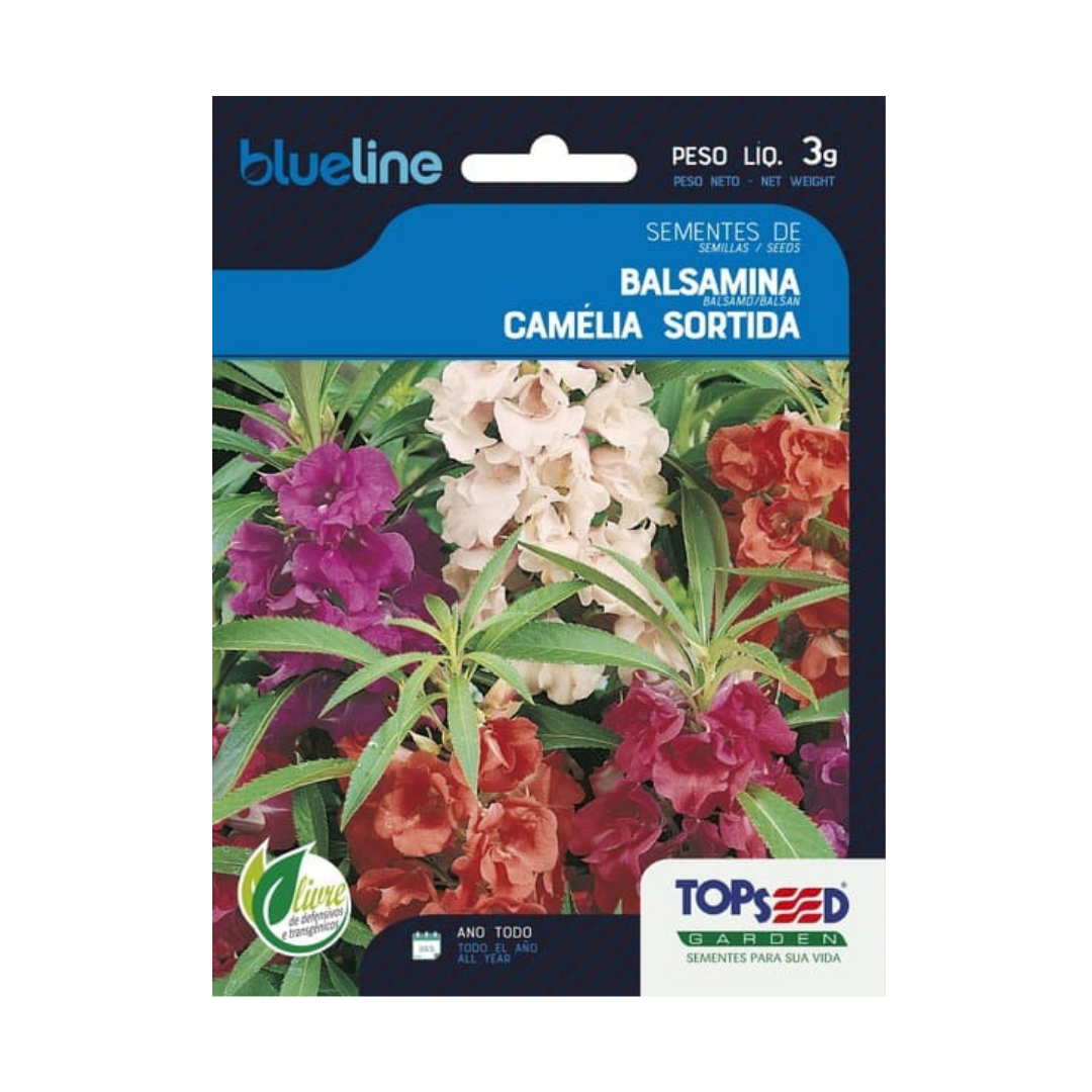 Semente De Balsamina Camélia Sortida Blue Line 3g | Topseed