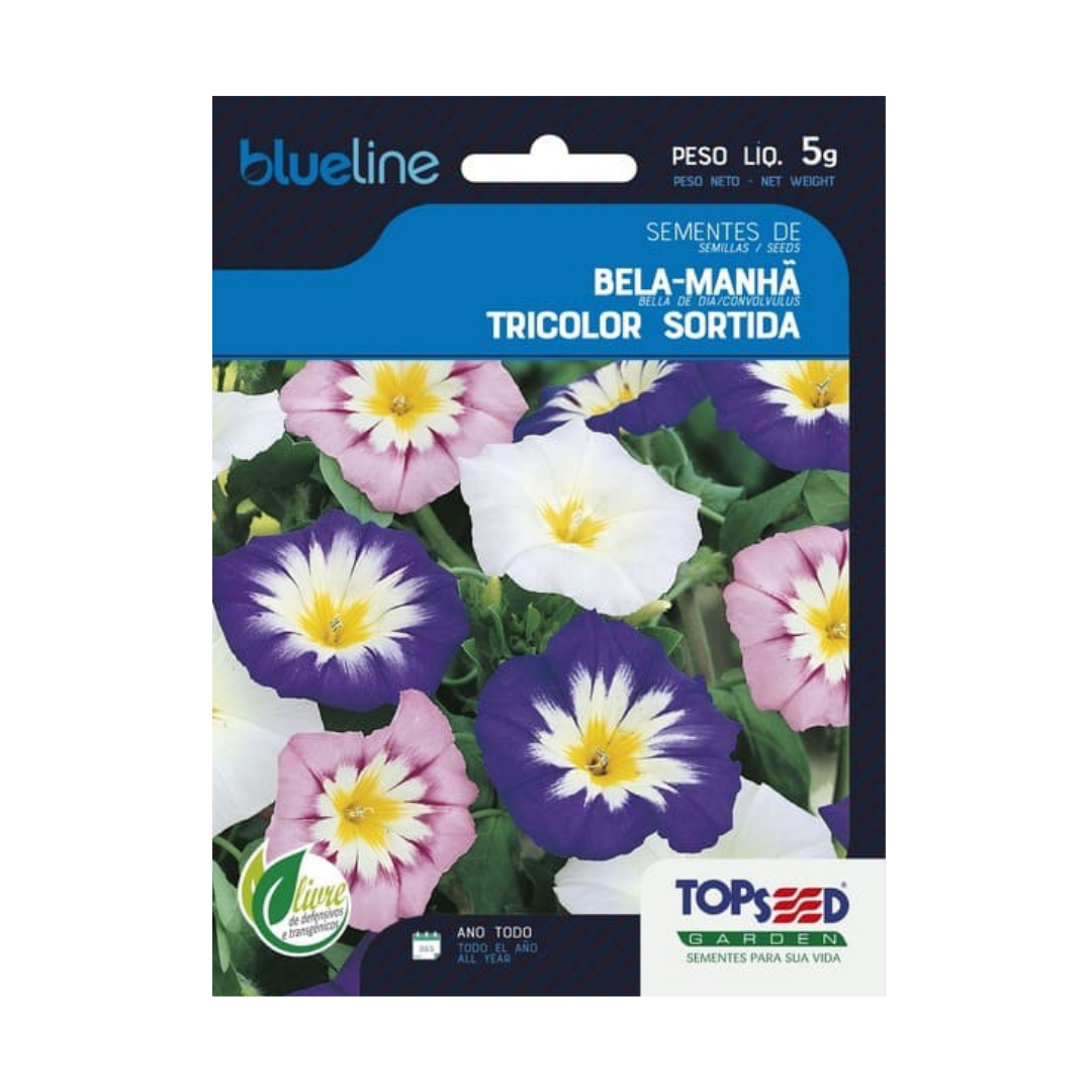 Semente De Bela Manhã Tricolor Sortida Blue Line 5g | Topseed