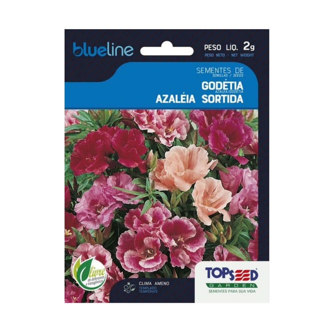 Semente De Godétia Azaleia Sortida Blue Line 2g | Topseed