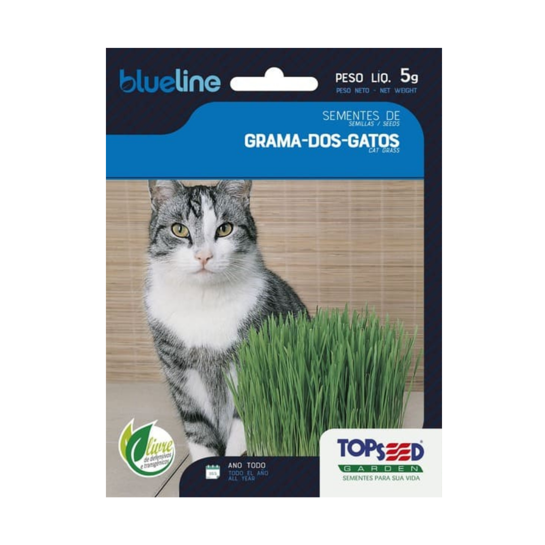 Semente De Grama Dos Gatos Blue Line 5g | Topseed