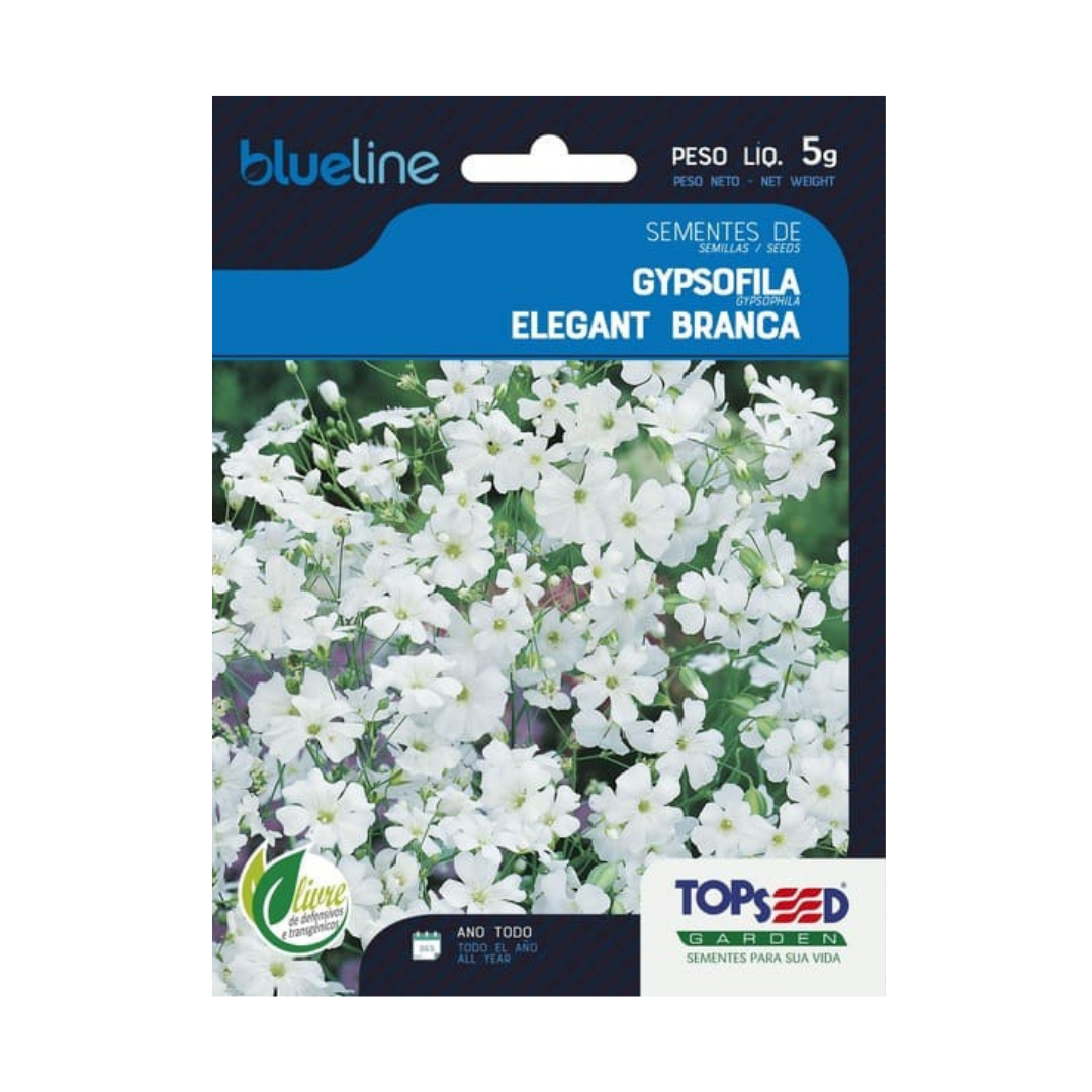 Semente De Gypsofila Elegant Branca Blue Line 5g | Topseed