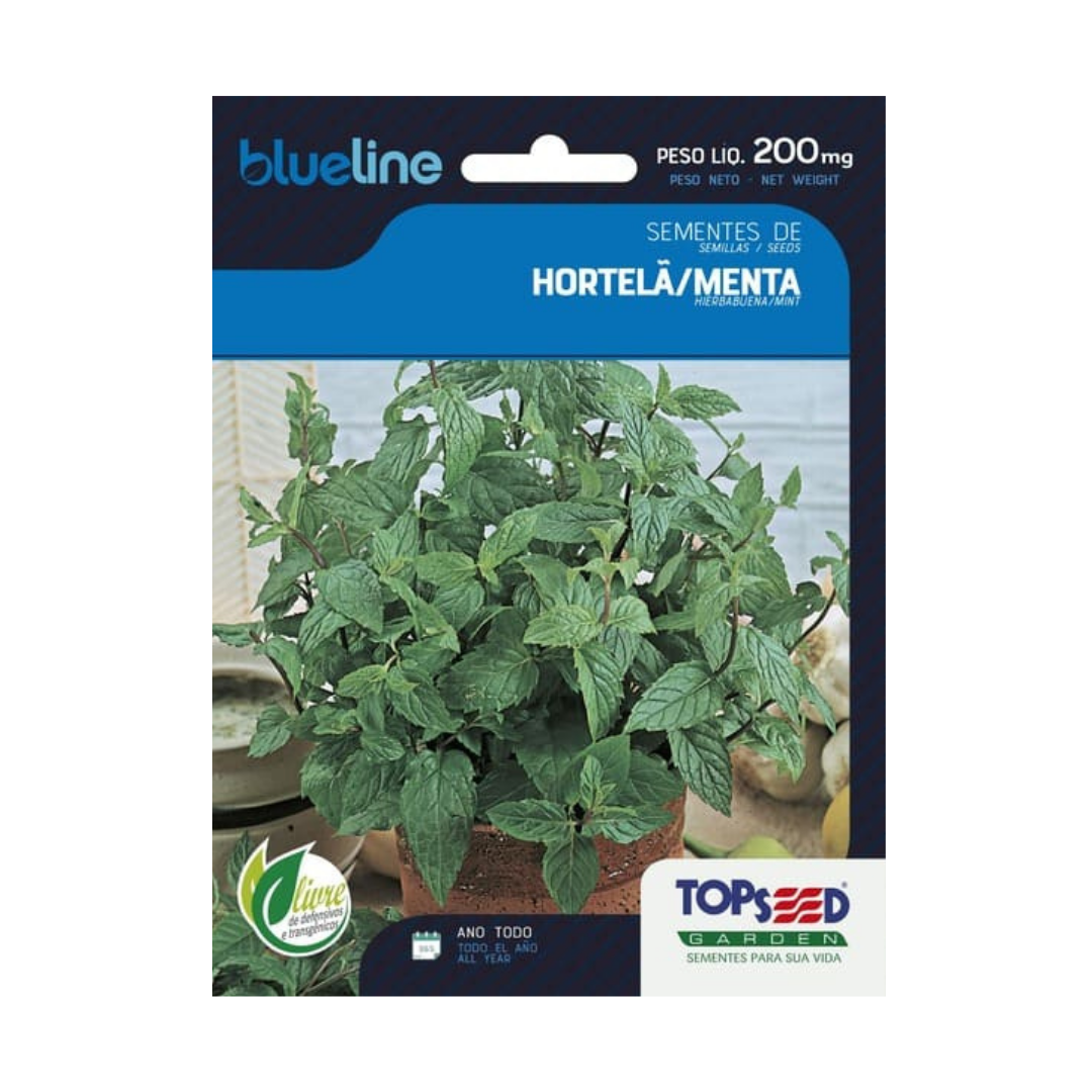 Semente De Hortela Menta Blue Line 200mg | Topseed