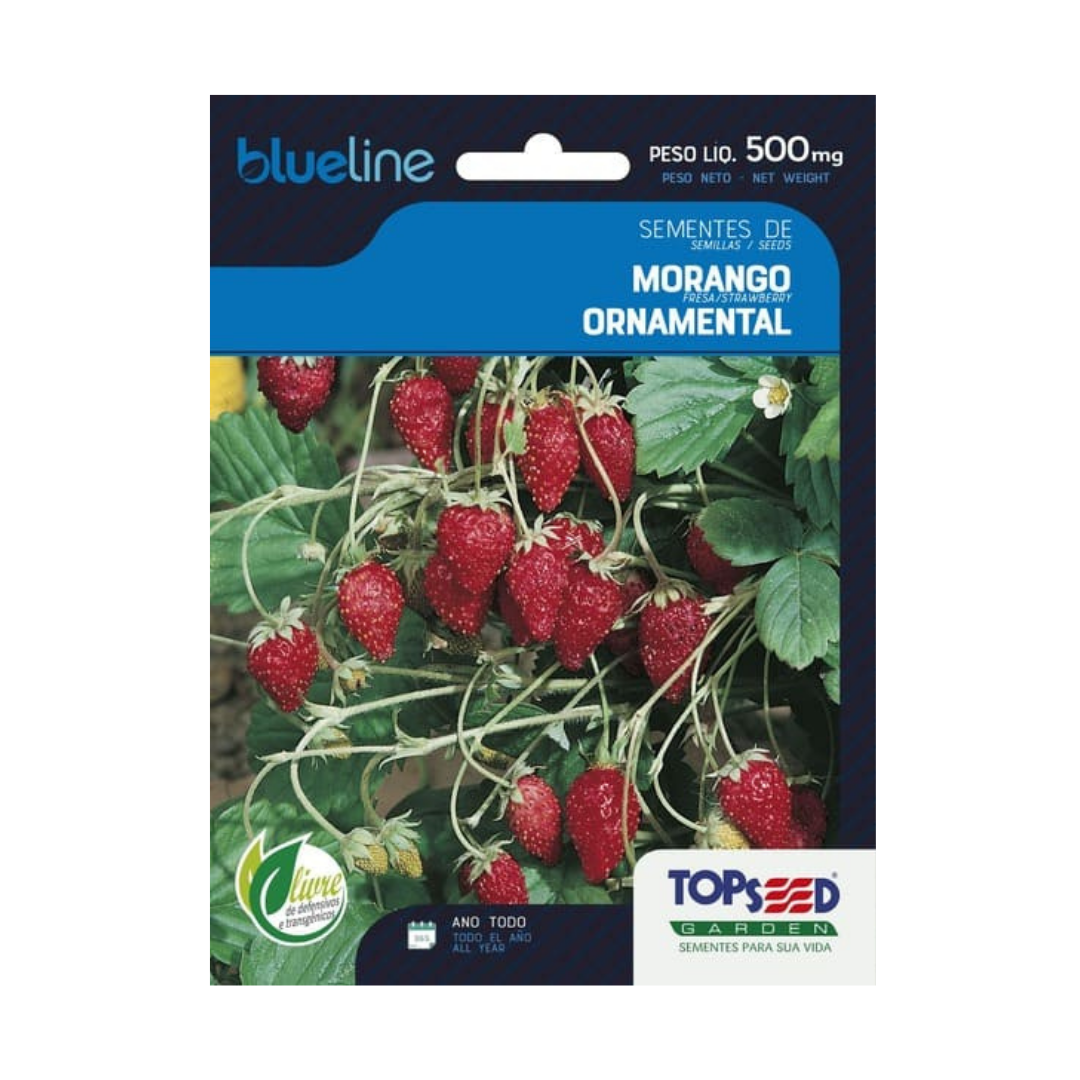 Semente De Morango Ornamental Blue Line 500mg | Topseed