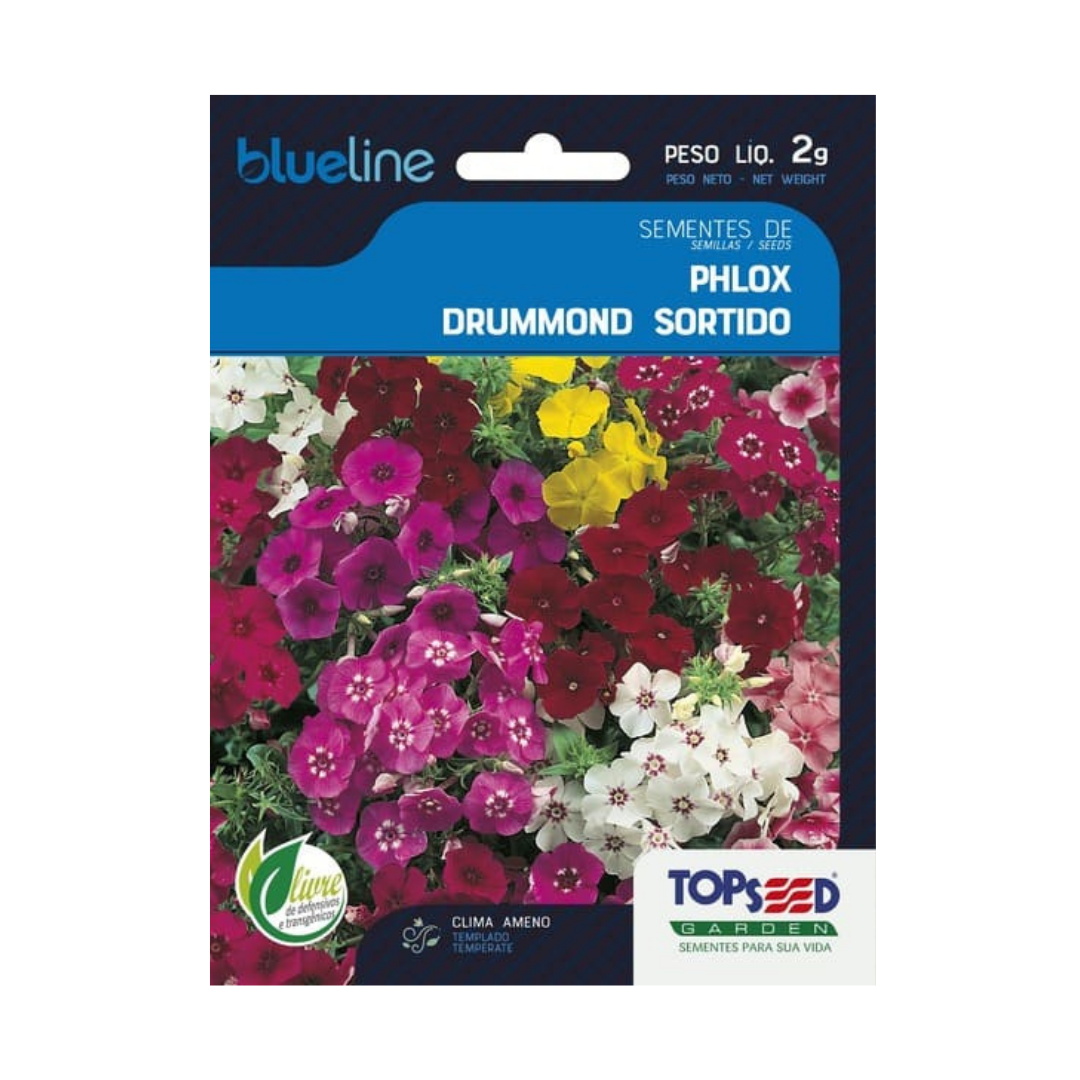 Semente De Phlox Drummond Sortido Blue Line 2g | Topseed