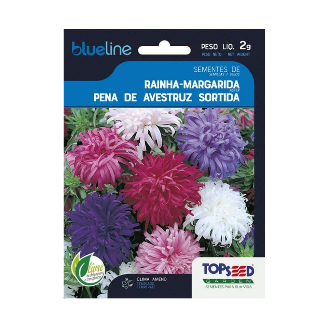 Semente De Rainha Margarida Pena Avestruz Sortida Blue Line 2g | Topseed