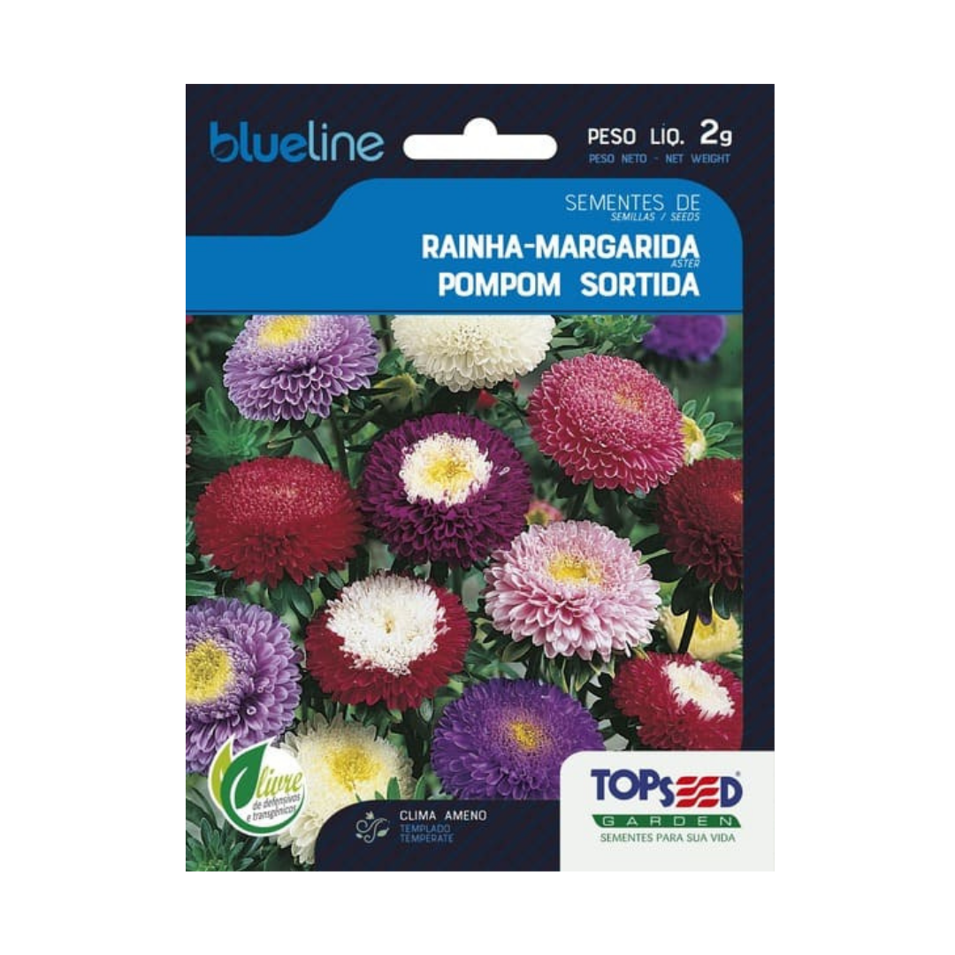 Semente De Rainha Margarida Pompom Sortida Blue Line 2g | Topseed