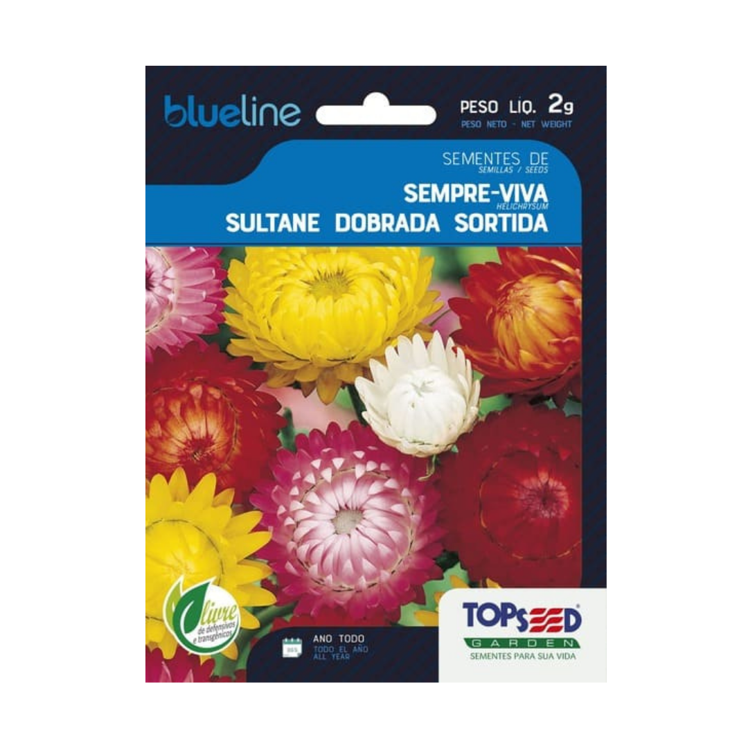 Semente De Sempre Viva Sultane Dobrada Sortida Blue Line 2g | Topseed