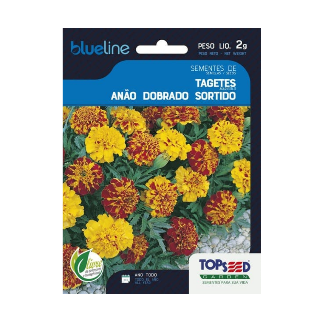 Semente De Tagetes Anão Dobrado Sortido Blue Line 2g | Topseed