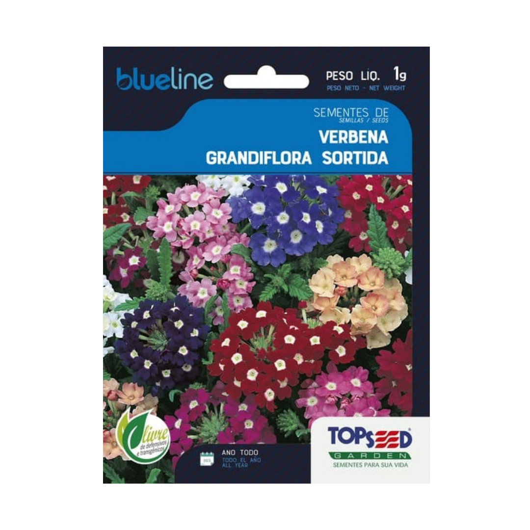 Semente De Verbena Grandiflora Sortida Blue Line 1g | Topseed