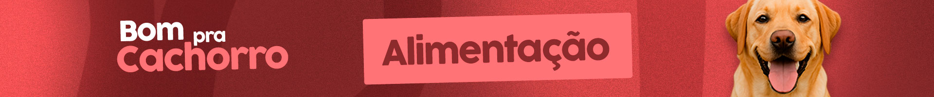 Category Banner