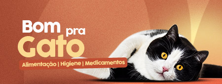 banner destaque gato