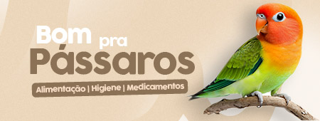 banner destaque passaro