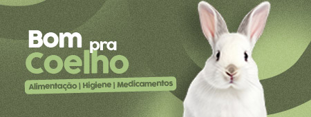 banner destaque coelho