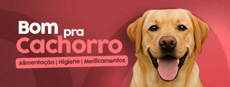 banner destaque cao