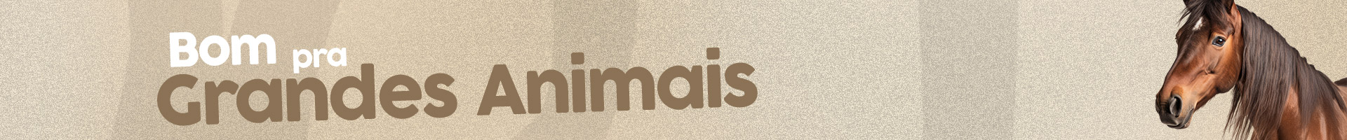 Category Banner