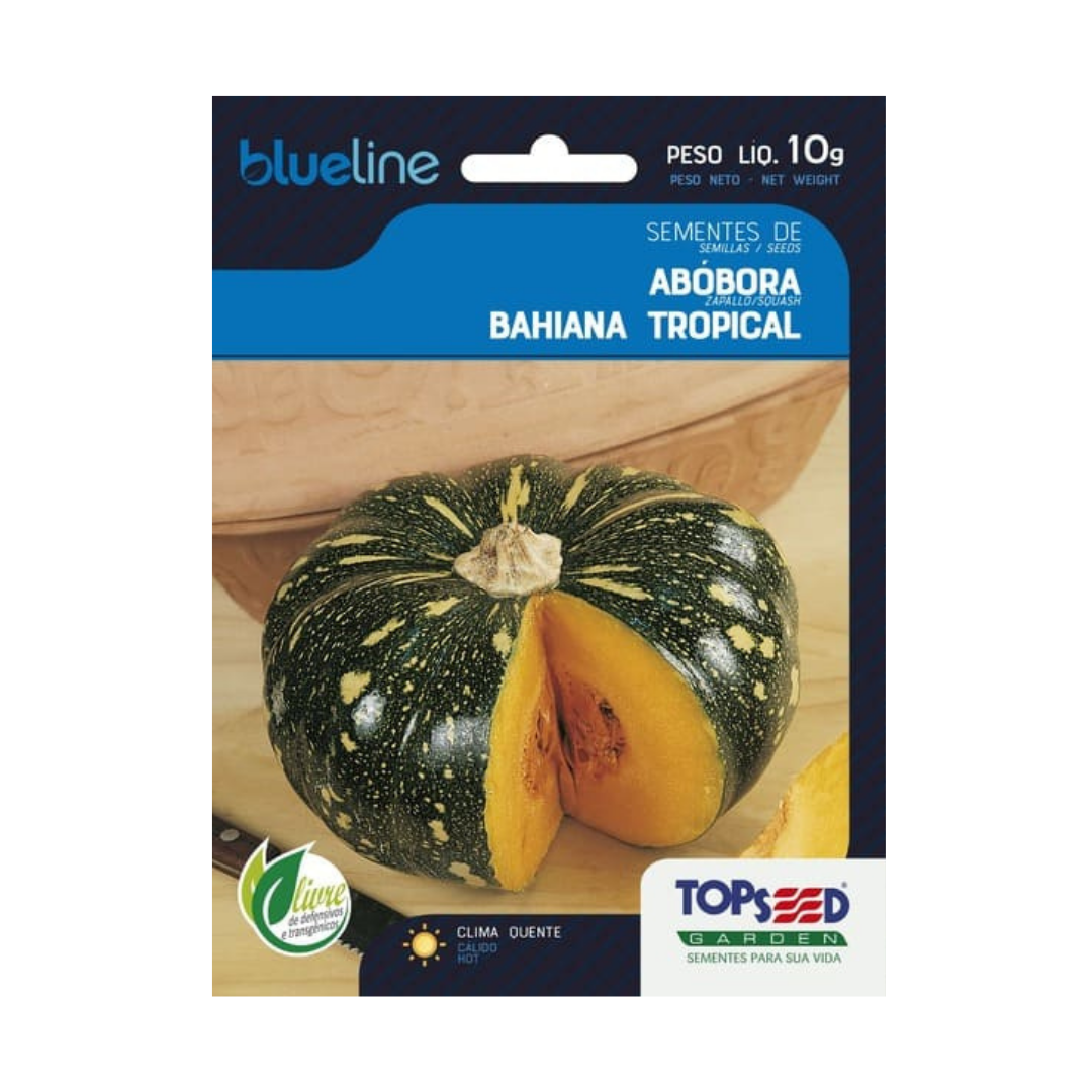 Semente De Abóbora Bahiana Tropical Blue Line 10g | Topseed