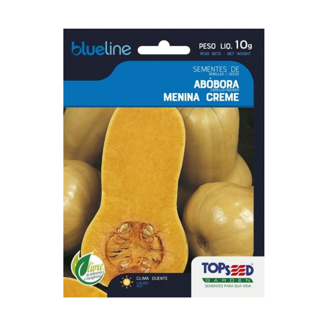 Semente De Abóbora Butternut Menina Creme Blue Line 10g | Topseed