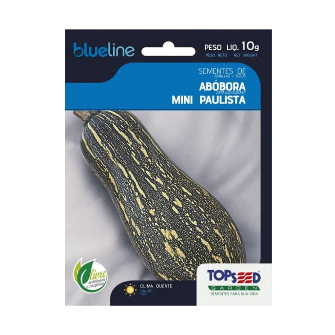 Semente De Abóbora Mini Paulista Blue Line 10g | Topseed