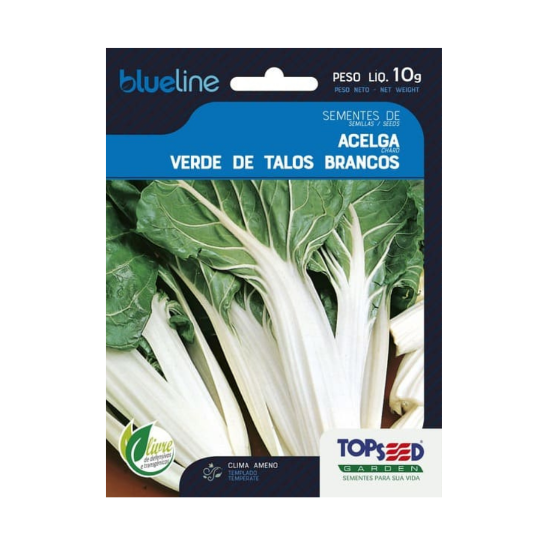 Semente De Acelga Verde Talos Brancos Blue Line 10g | Topseed