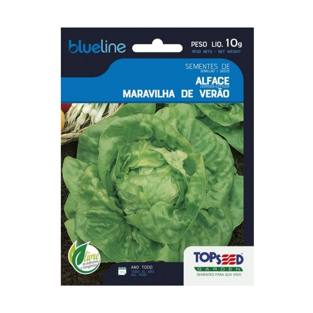 Semente De Alface Maravilha Verão Blue Line 10g | Topseed