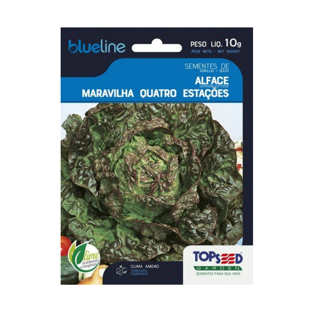 Semente De Alface Maravilha 4 Estações Blue Line 10g | Topseed