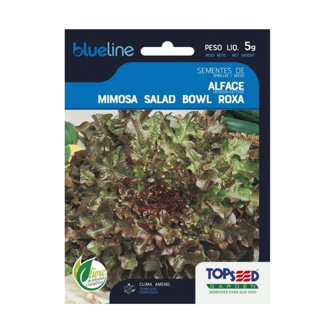 Semente De Alface Mimosa Salad Bowl Roxa Blue Line 5g | Topseed