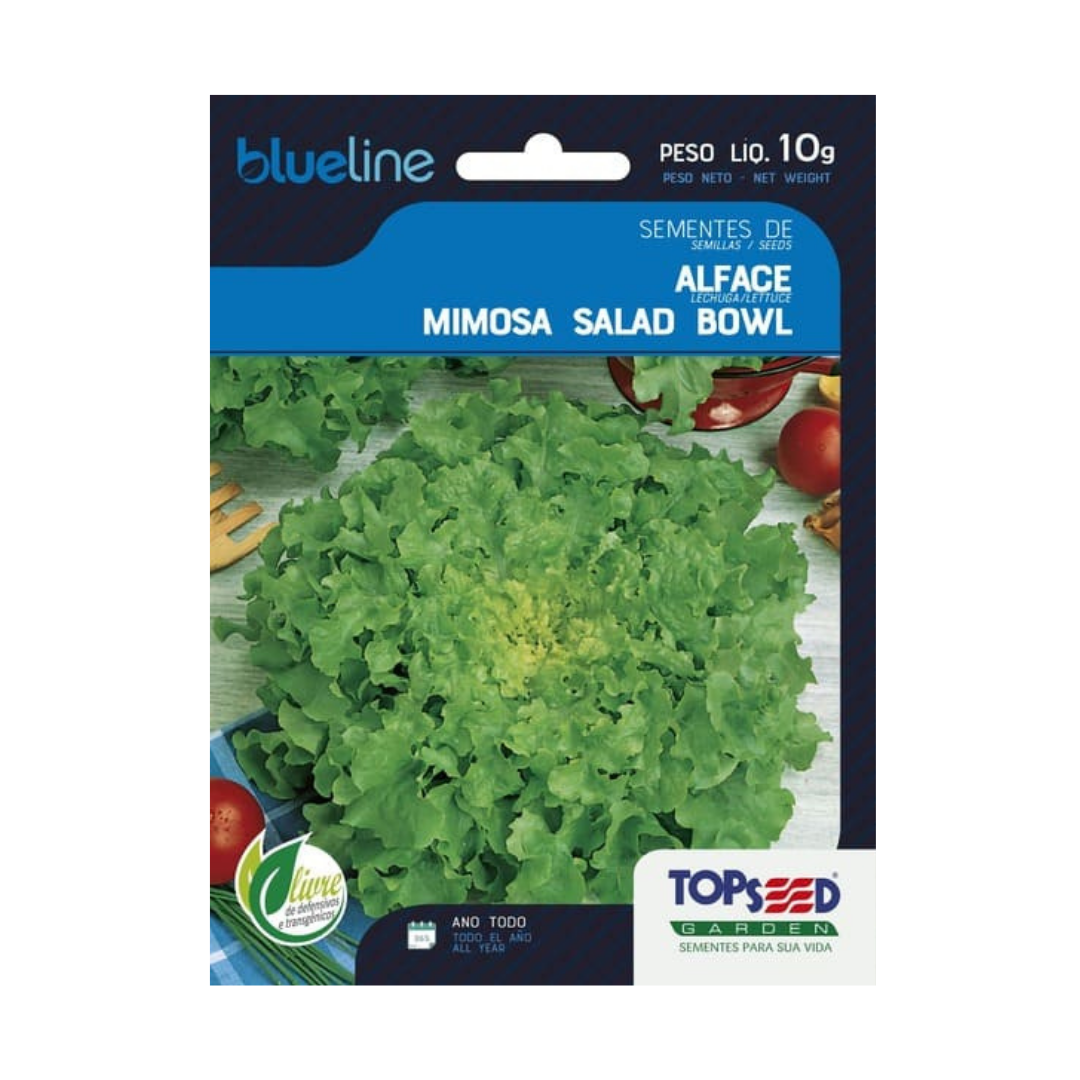 Semente De Alface Mimosa Salad Bowl Blue Line 10g | Topseed