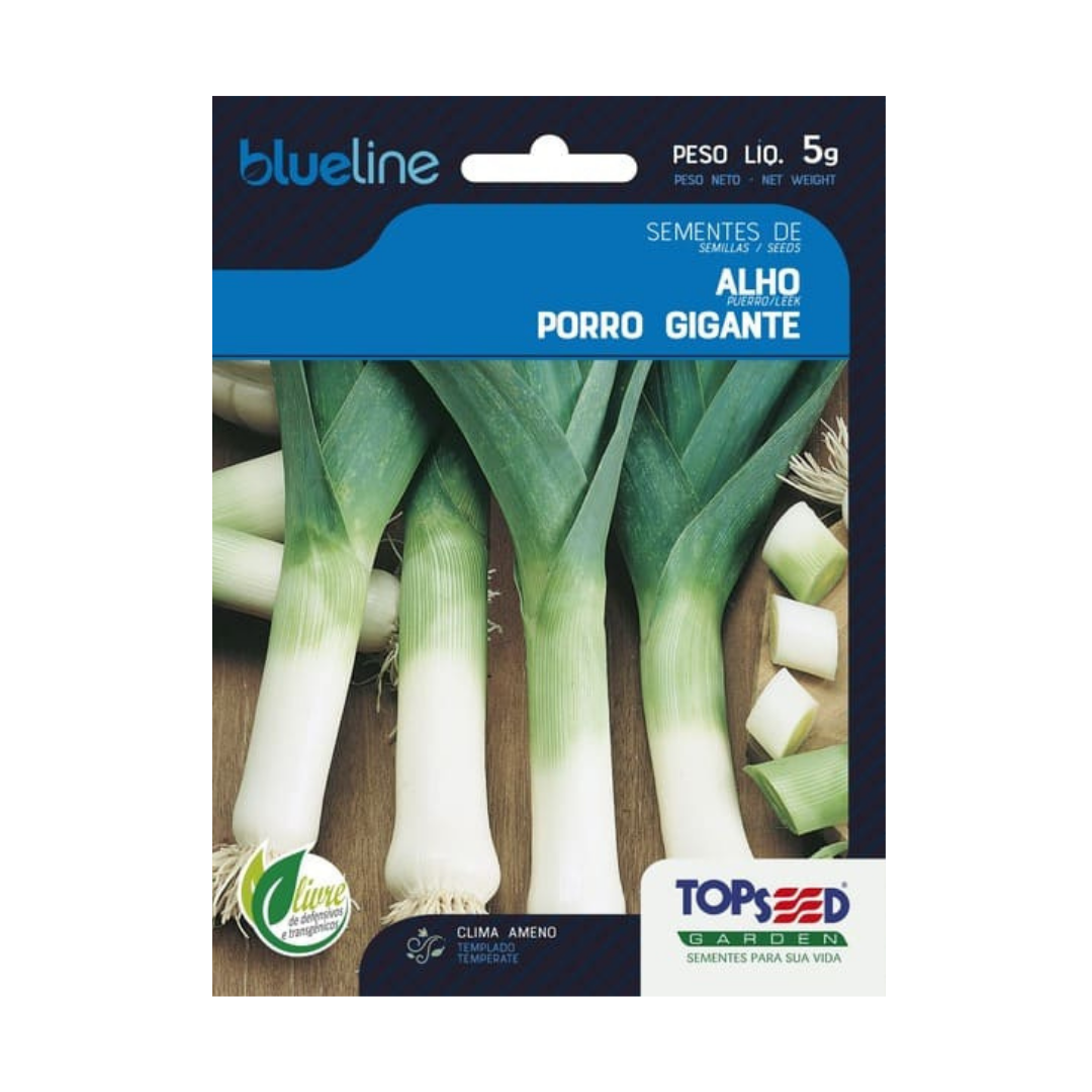 Semente De Alho Porro Gigante Blue Line 5g | Topseed