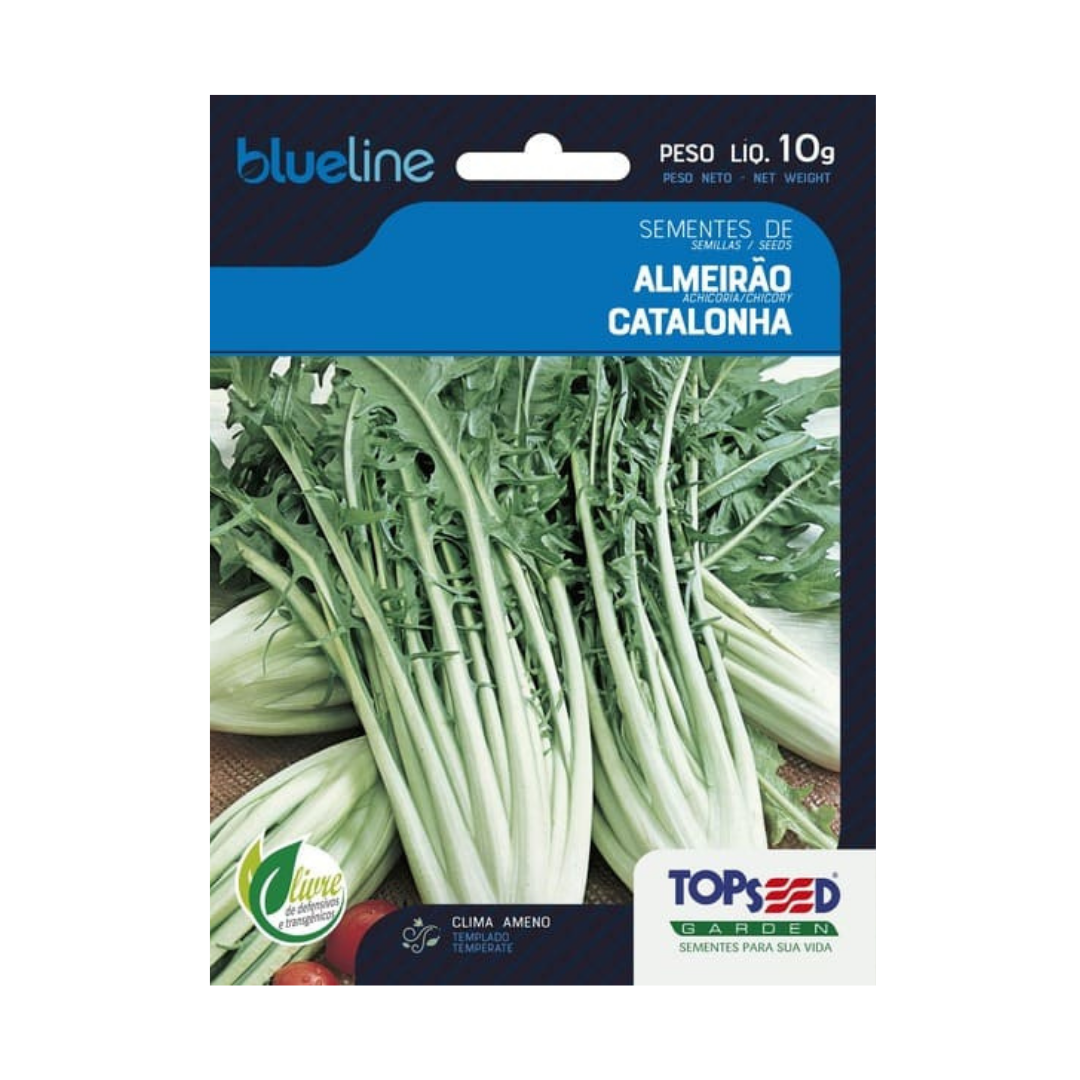 Semente De Almeirão Catalonha Blue Line 10g | Topseed