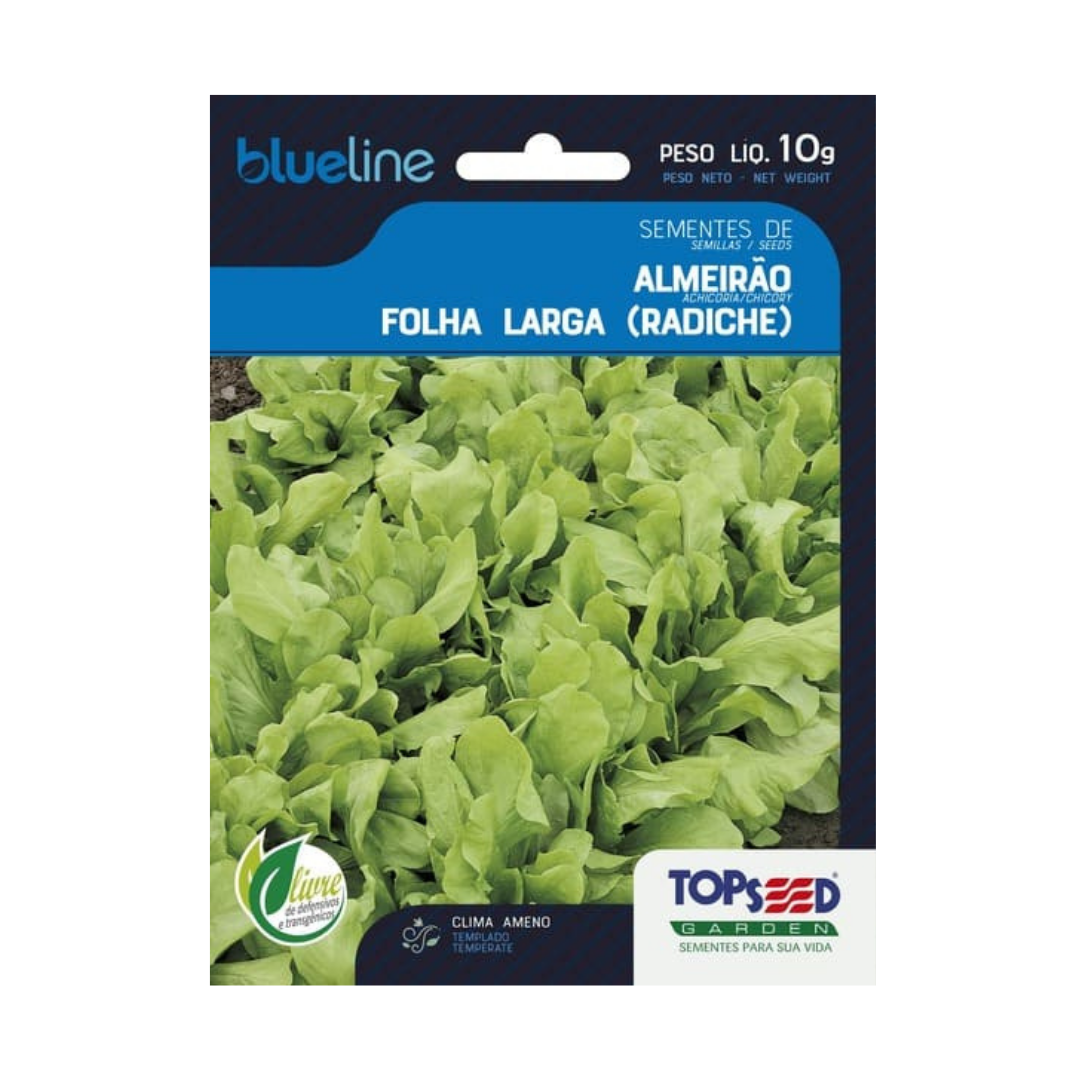 Semente De Almeirão Folha Larga Blue Line 10g | Topseed
