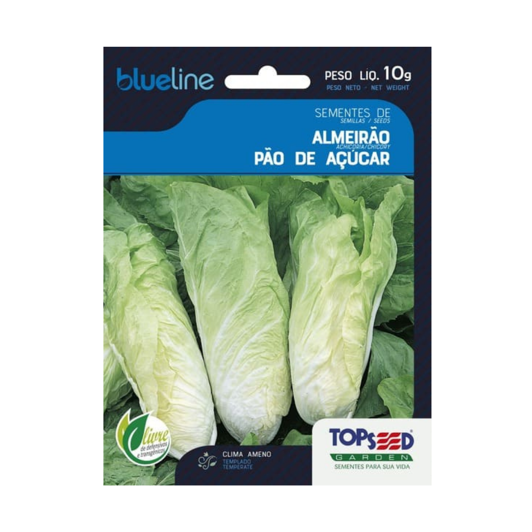 Semente De Almeirão Pão De Açúcar Blue Line 10g | Topseed