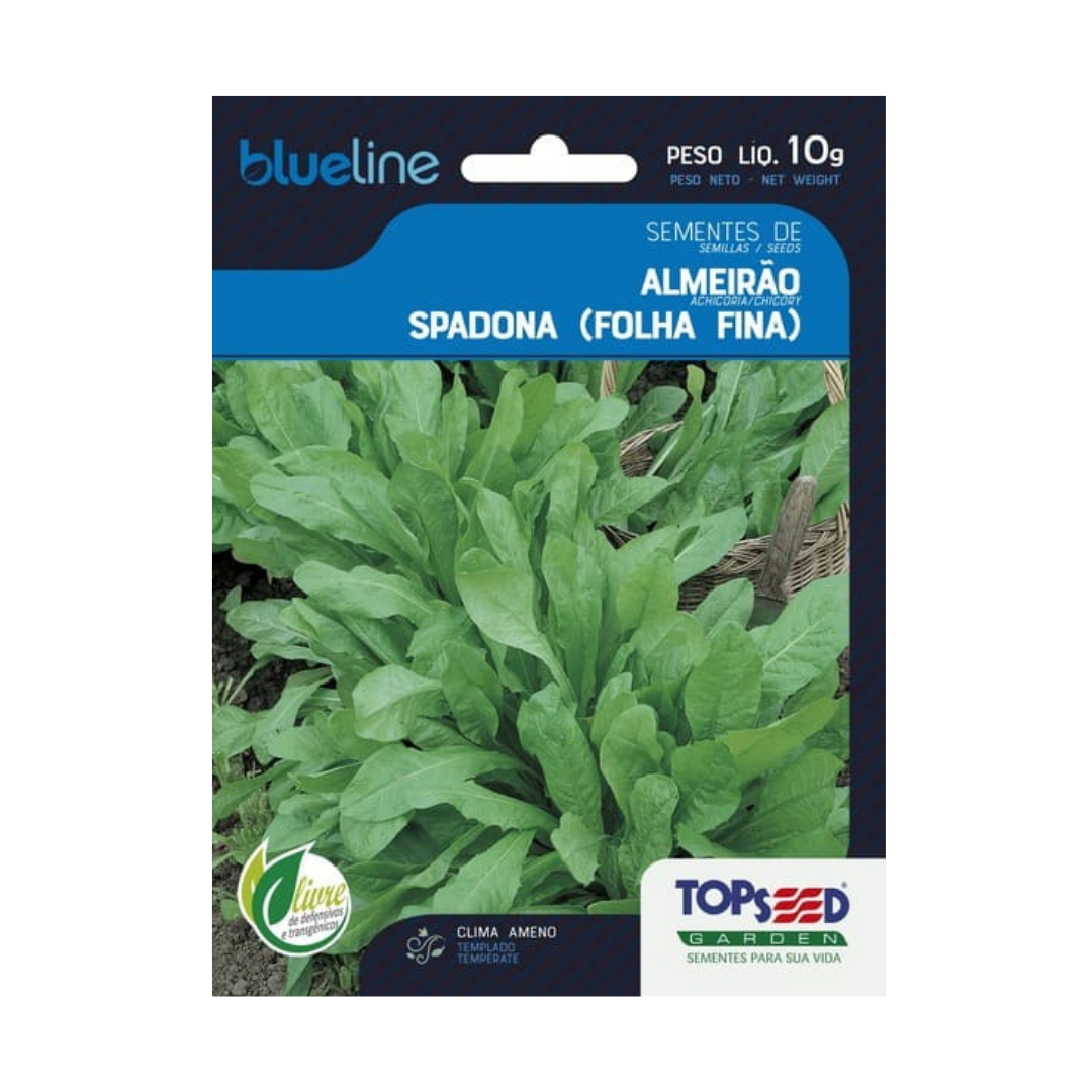 Semente De Almeirão Spadona Folha Fina Blue Line 10g | Topseed