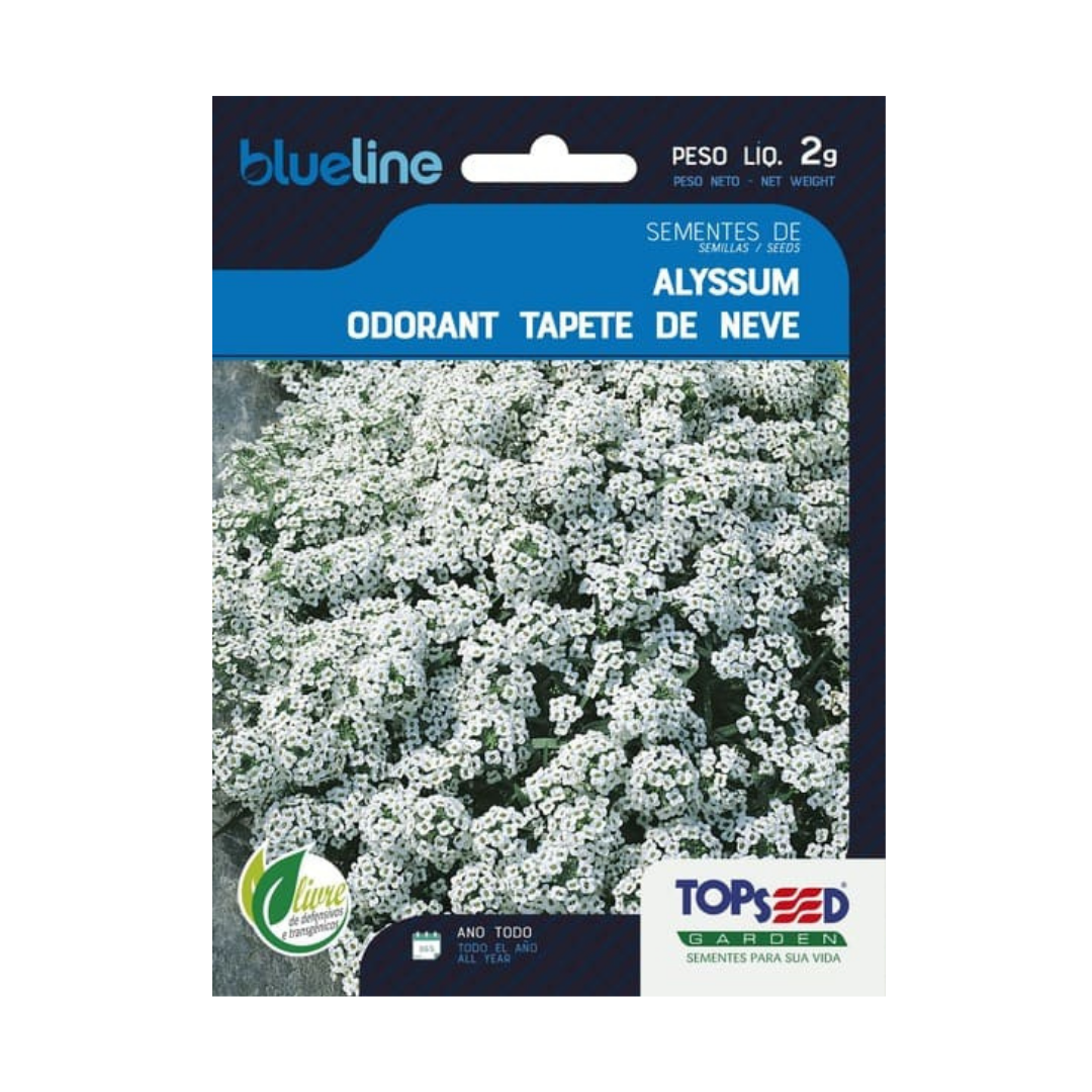 Semente De Alyssum Tapete De Neve Blue Line 2g | Topseed