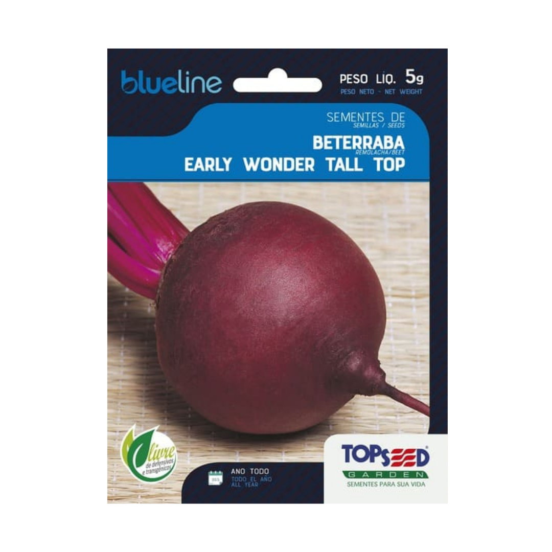 Semente De Beterraba Early Wonder Blue Line 5g | Topseed