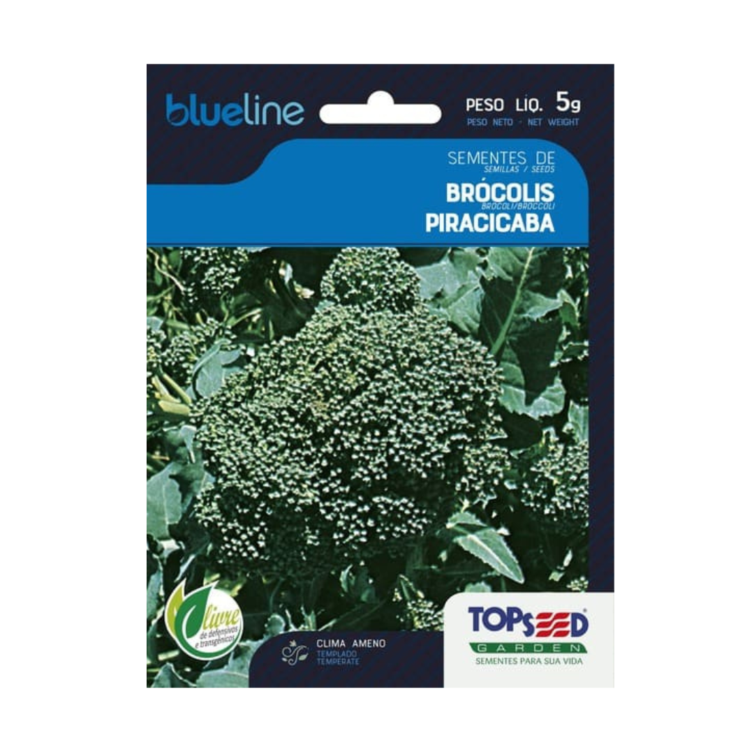 Semente De Brócolis Ramoso Piracicaba Blue Line 5g | Topseed