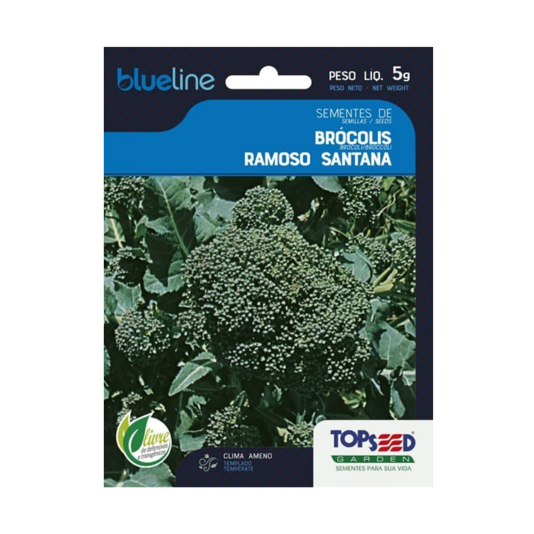 Semente De Brócolis Ramoso Santana Blue Line 5g | Topseed
