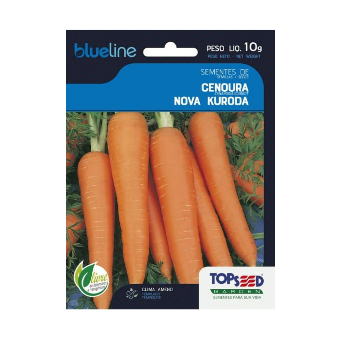 Semente De Cenoura Kuroda Blue Line 10g | Topseed