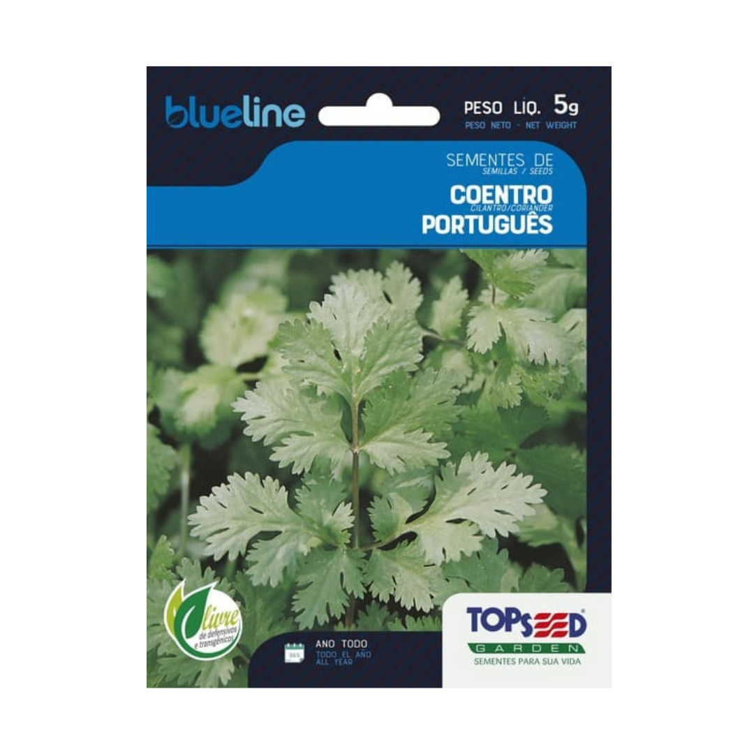 Semente De Coentro Português Blue Line 5g | Topseed
