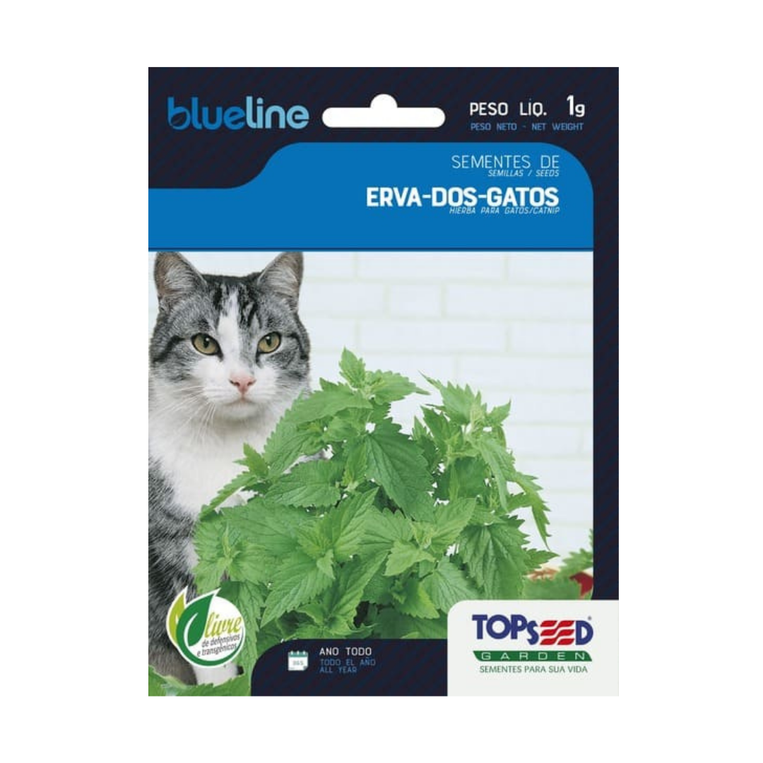 Semente De Erva Dos Gatos Blue Line 1g | Topseed