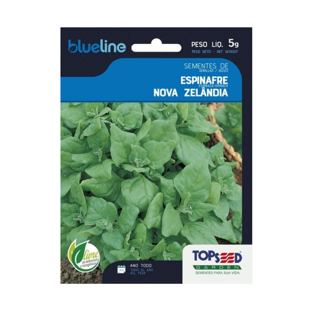 Semente De Espinafre Nova Zelandia Blue Line 5g | Topseed