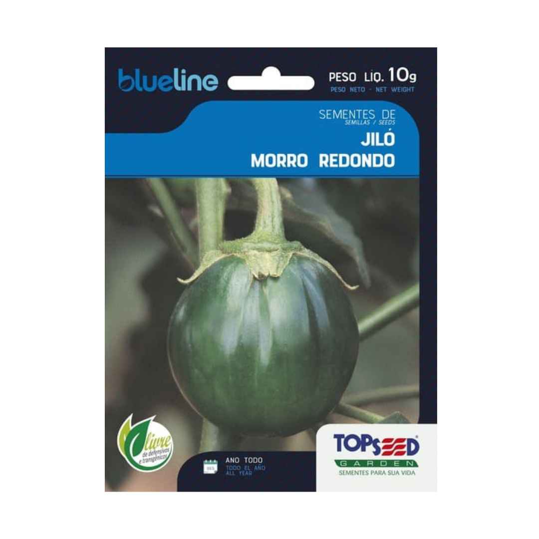 Semente De Jiló Morro Redondo Blue Line 10g | Topseed