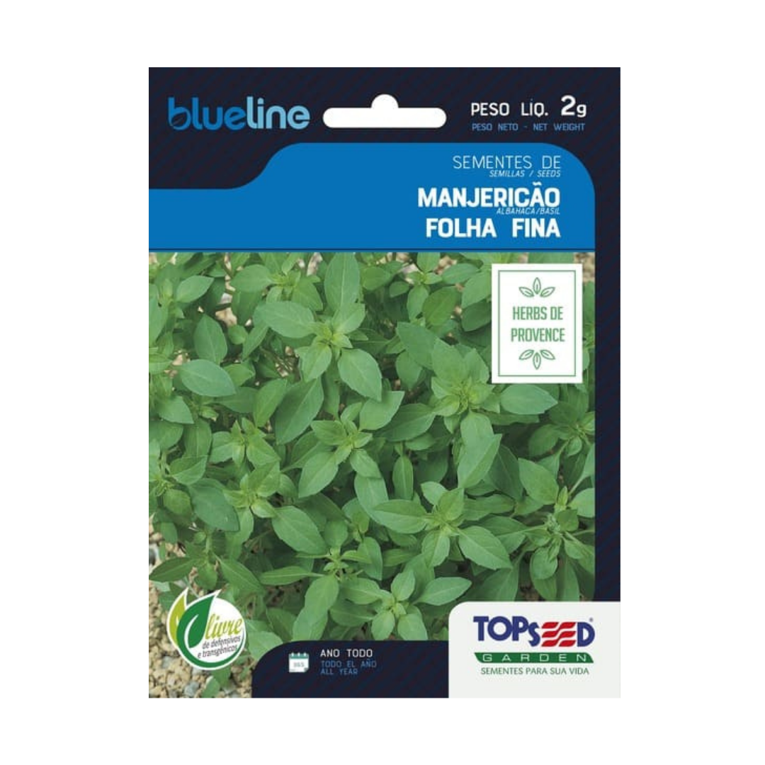 Semente De Manjericão Folha Fina Blue Line 2g | Topseed