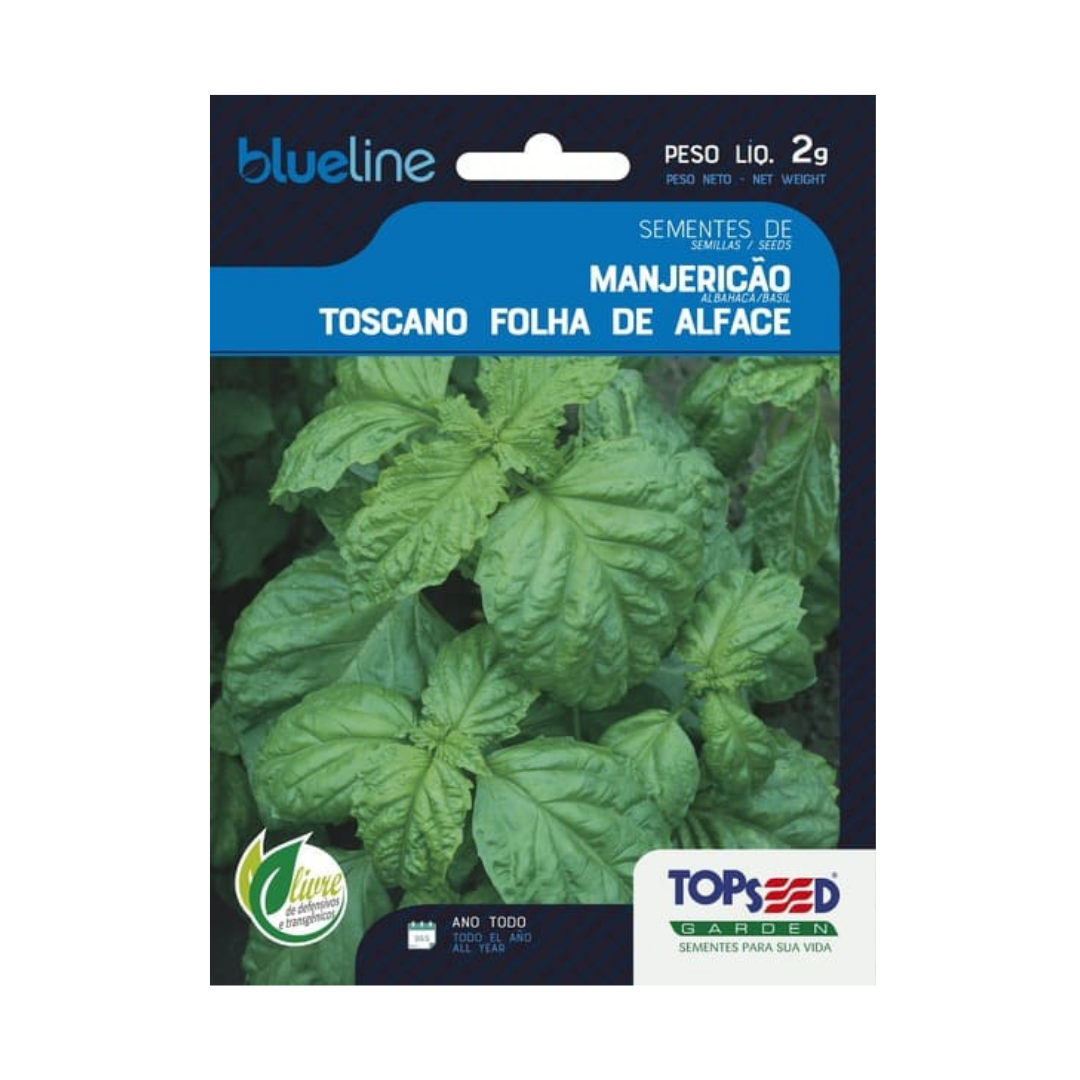 Semente De Manjericão Toscano Blue Line 2g | Topseed
