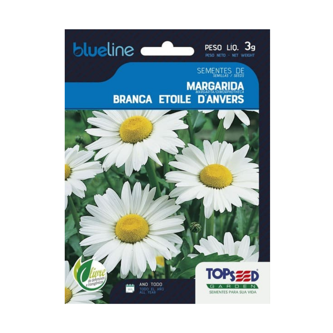 Semente De Margarida Branca Blue Line 3g | Topseed
