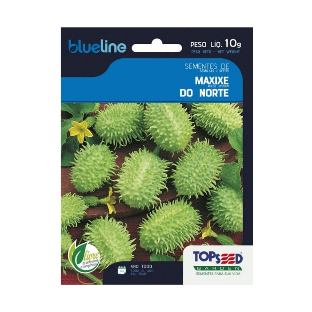 Semente De Maxixe Do Norte Blue Line 10g | Topseed