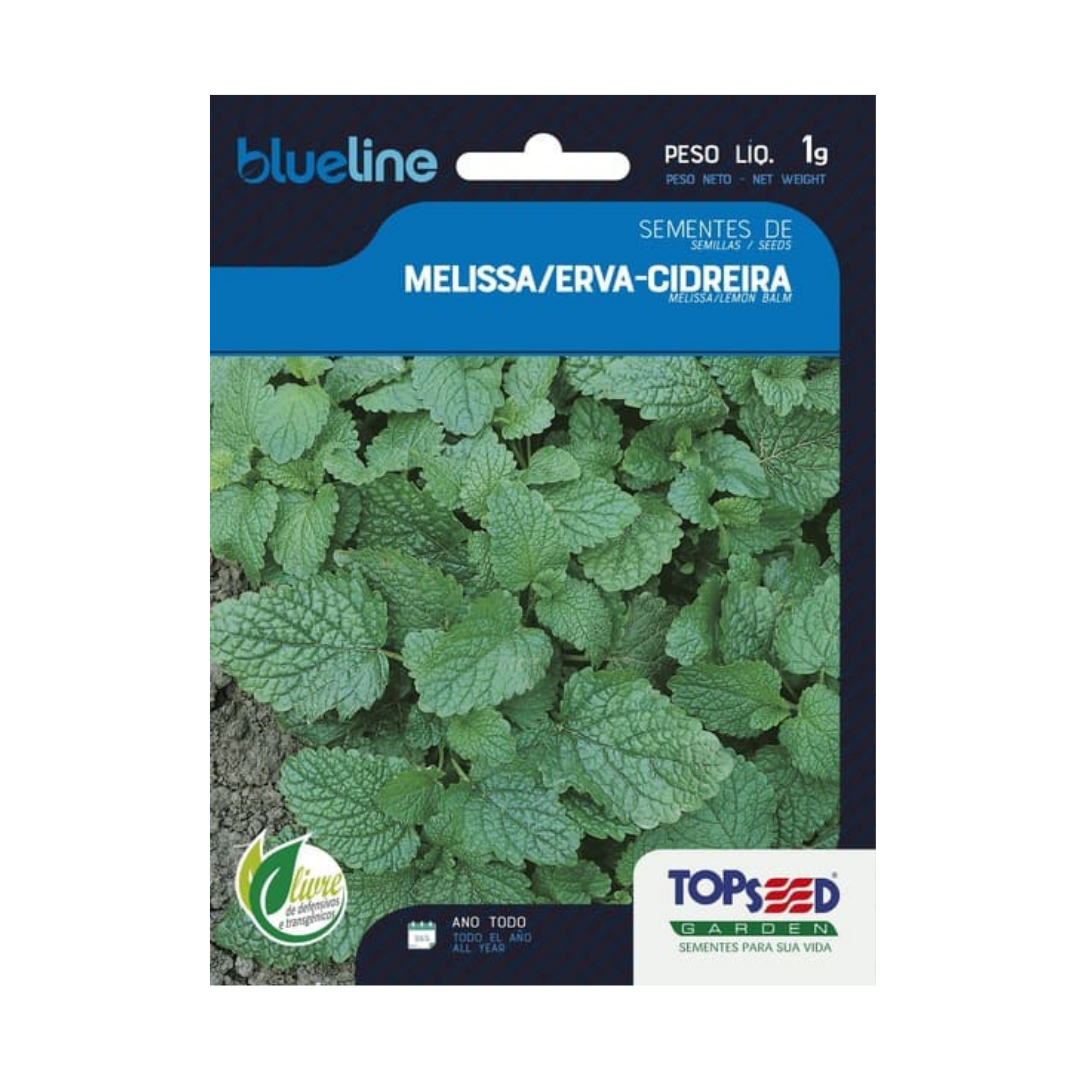 Semente De Melissa Erva Cidreira Blue Line 1g | Topseed
