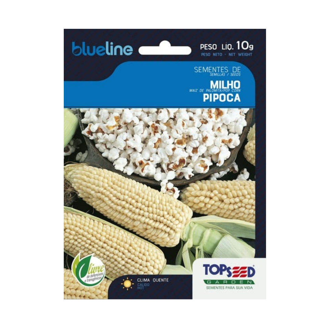Semente De Milho De Pipoca Blue Line 10g | Topseed