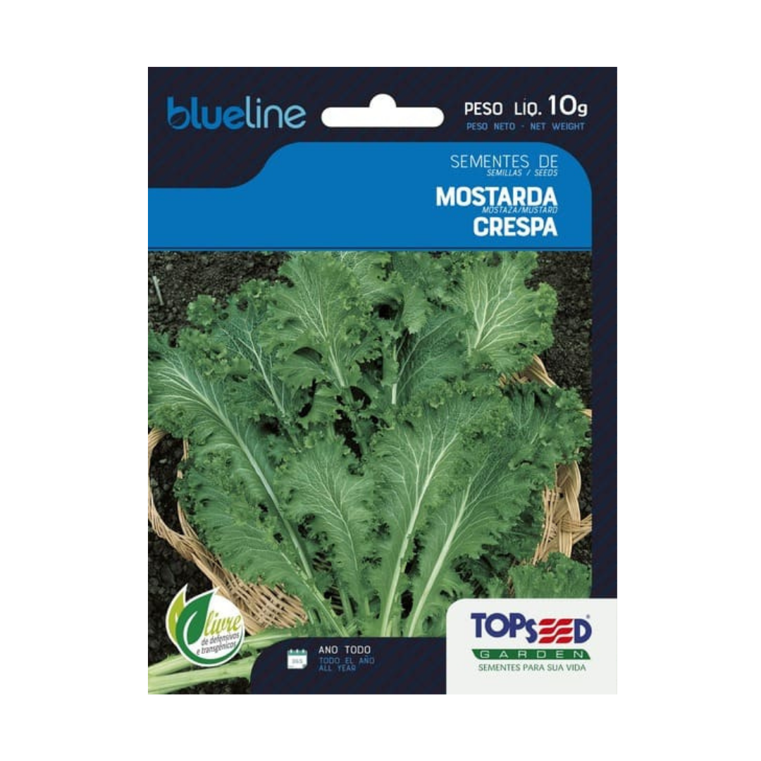 Semente De Mostarda Crespa Blue Line 10g | Topseed