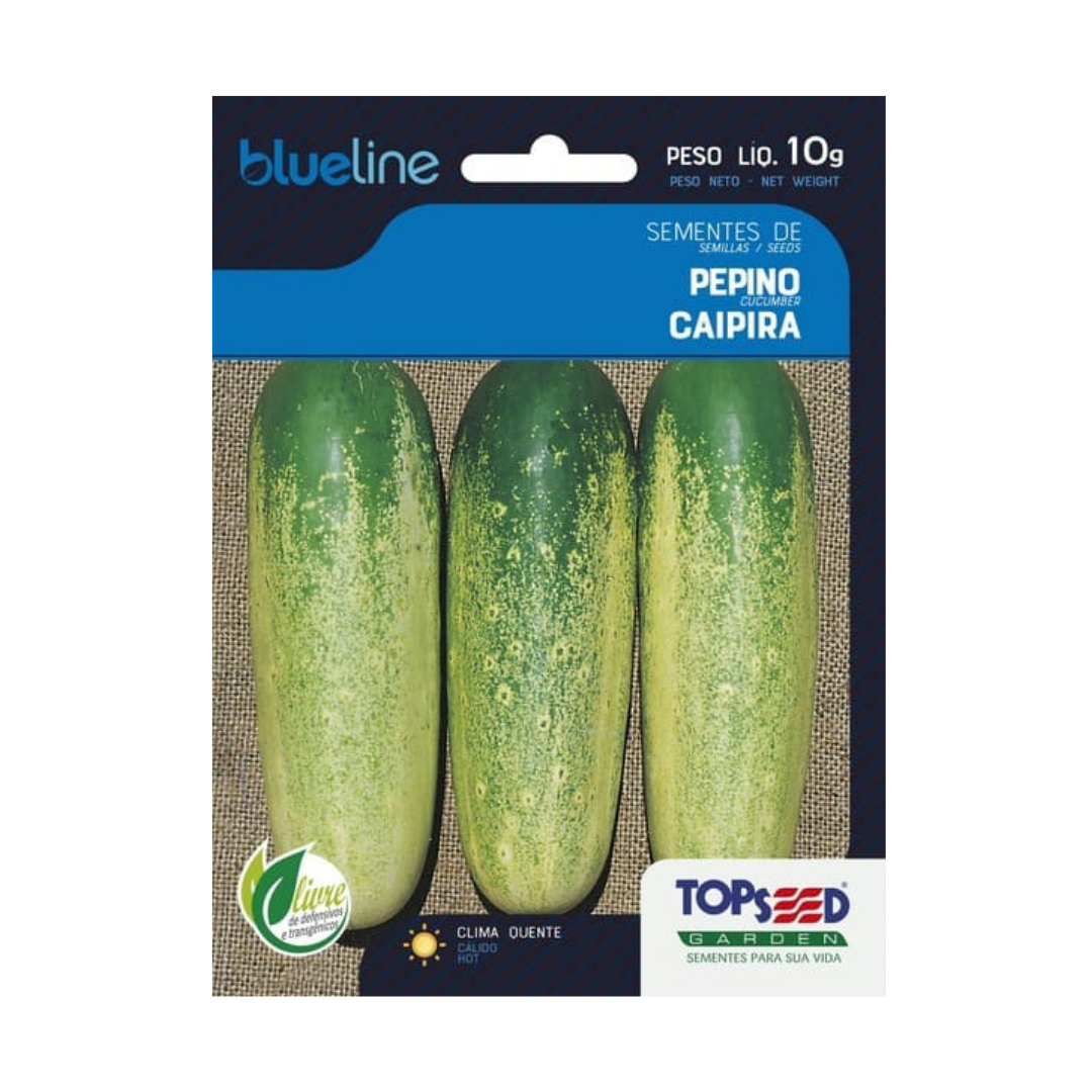 Semente De Pepino Caipira Blue Line 10g | Topseed